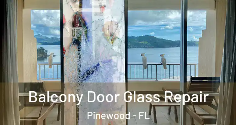 Balcony Door Glass Repair Pinewood - FL
