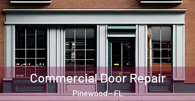 Commercial Door Repair Pinewood - FL