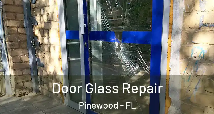 Door Glass Repair Pinewood - FL