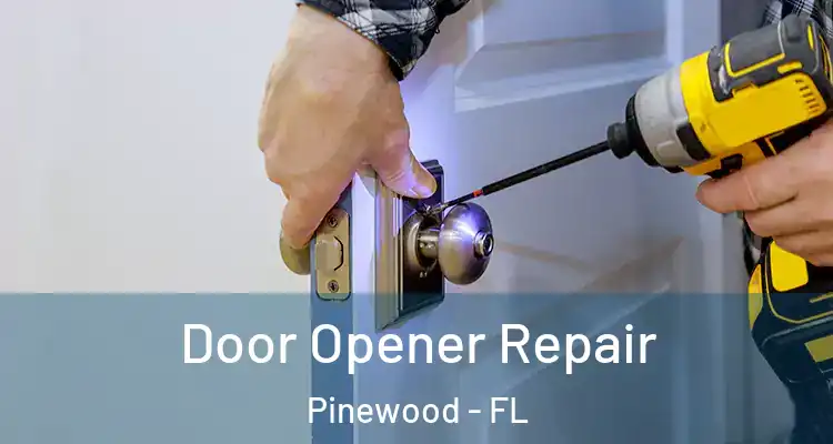  Door Opener Repair Pinewood - FL