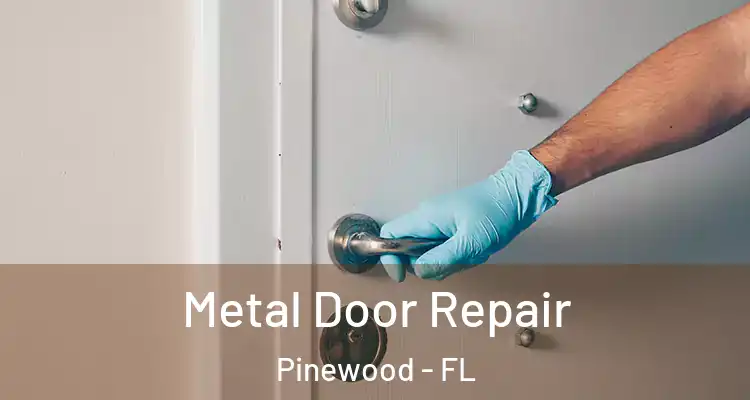 Metal Door Repair Pinewood - FL
