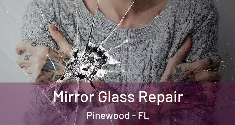 Mirror Glass Repair Pinewood - FL