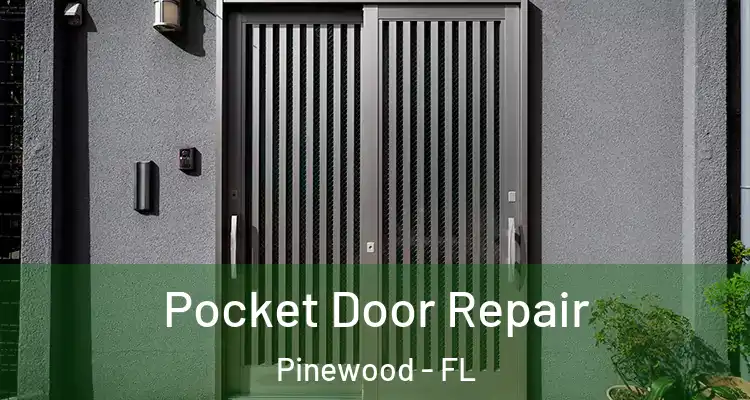  Pocket Door Repair Pinewood - FL