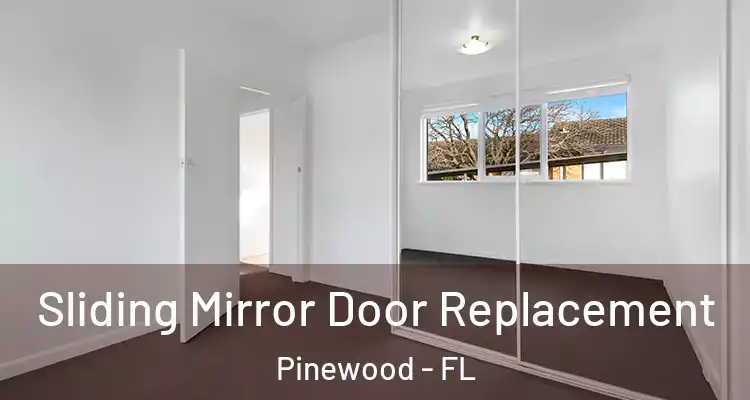  Sliding Mirror Door Replacement Pinewood - FL