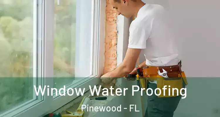  Window Water Proofing Pinewood - FL